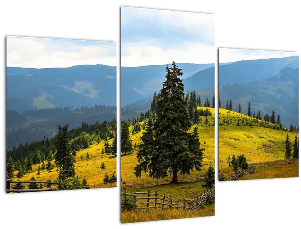 Tablou - Lunca de munte (90x60 cm)