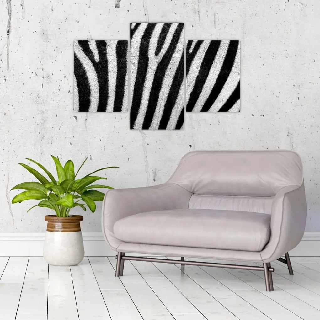 Tablou cu piele de zebră (90x60 cm)