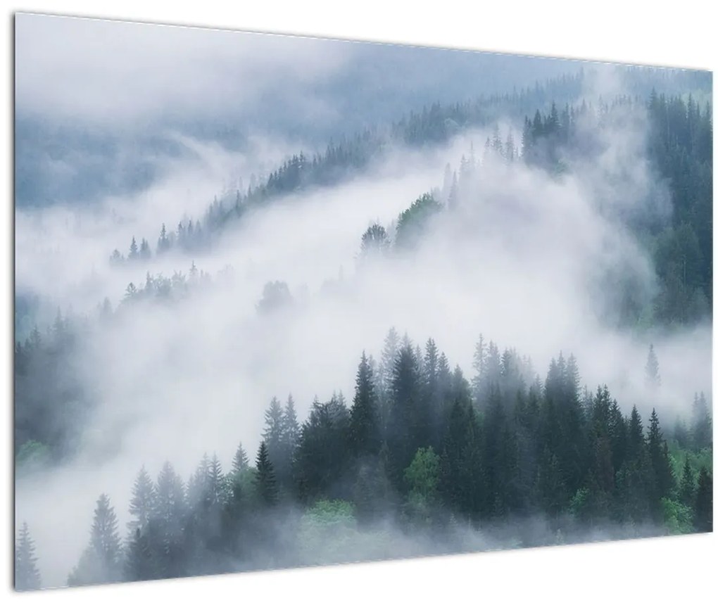 Tablou - Copacii în ceață (90x60 cm)