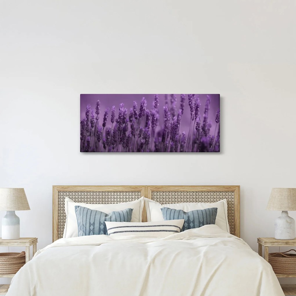 Tablou - Lavanda (120x50 cm)