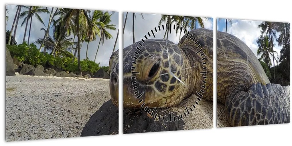 Tablou cu broască țestoasă (cu ceas) (90x30 cm)