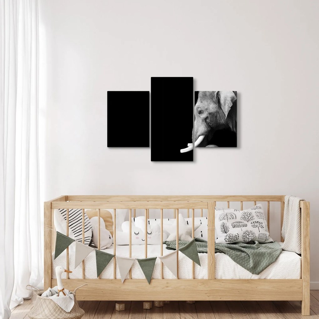 Tablou - Elefant (90x60 cm)