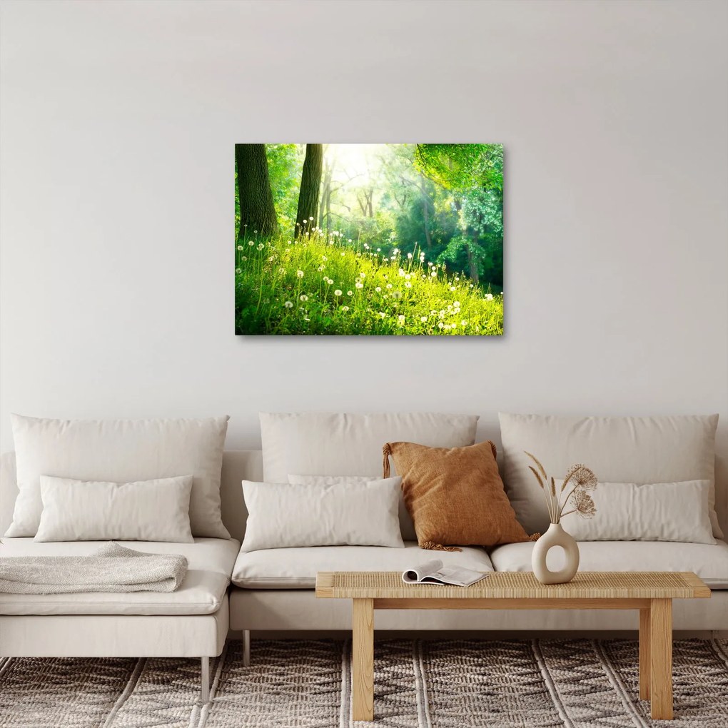 Tablou - Pajiște magică plină de păpădii (70x50 cm)