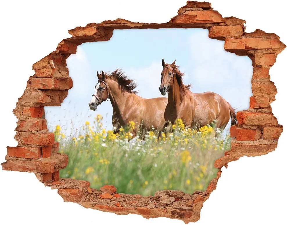 Autocolant 3D gaura cu priveliște Doi cai în galop