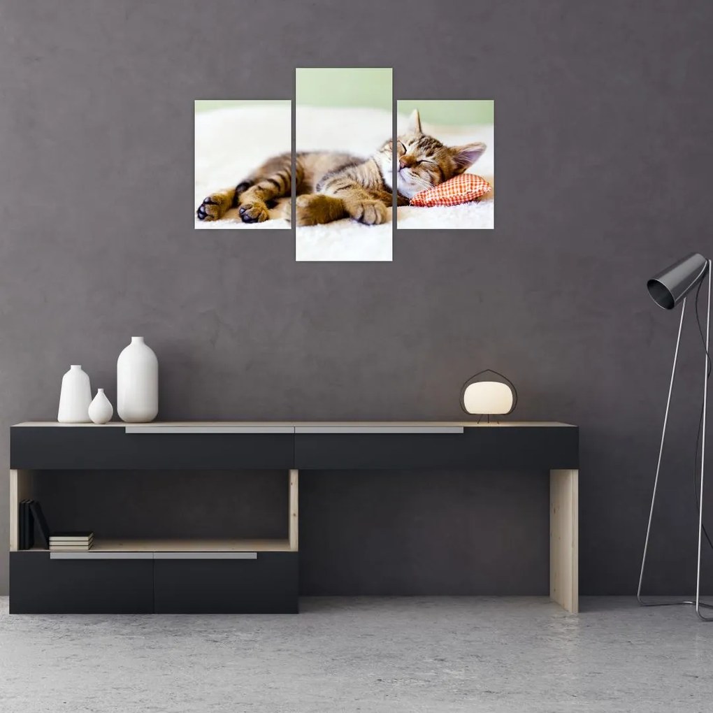 Tablou - Pisicuța adormită (90x60 cm)