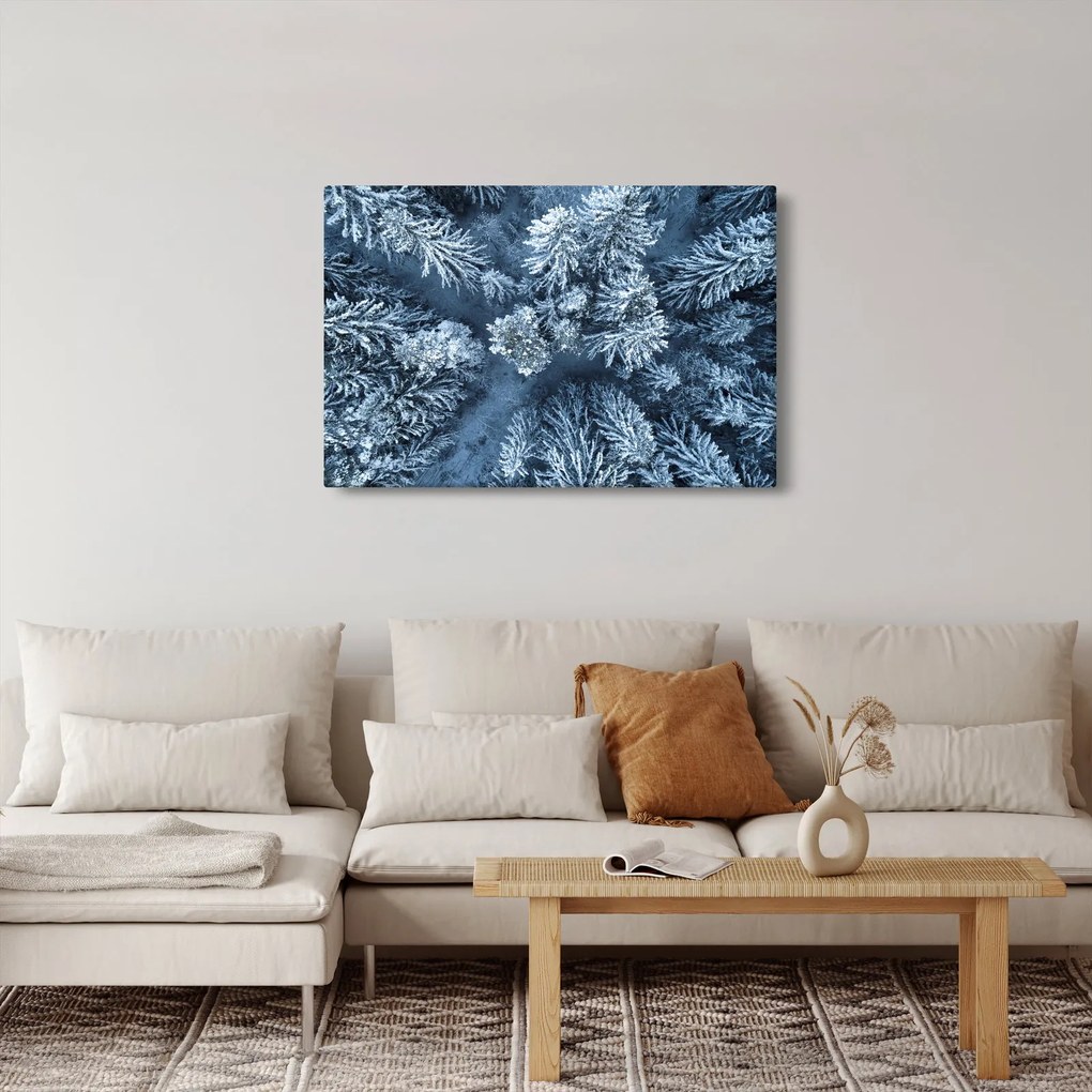 Tablou - Pădure înzăpezită (90x60 cm)
