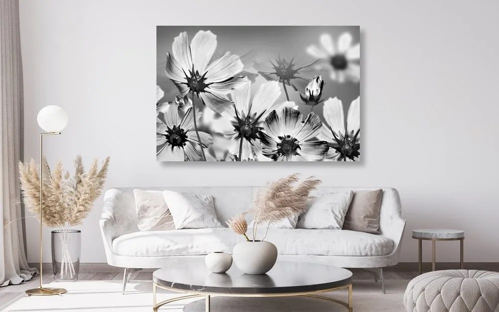 Tablou flori de vară în design alb-negru