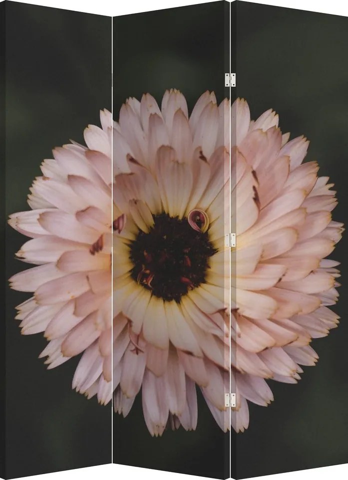 Paravan - Floare portocalie (126x170 cm)