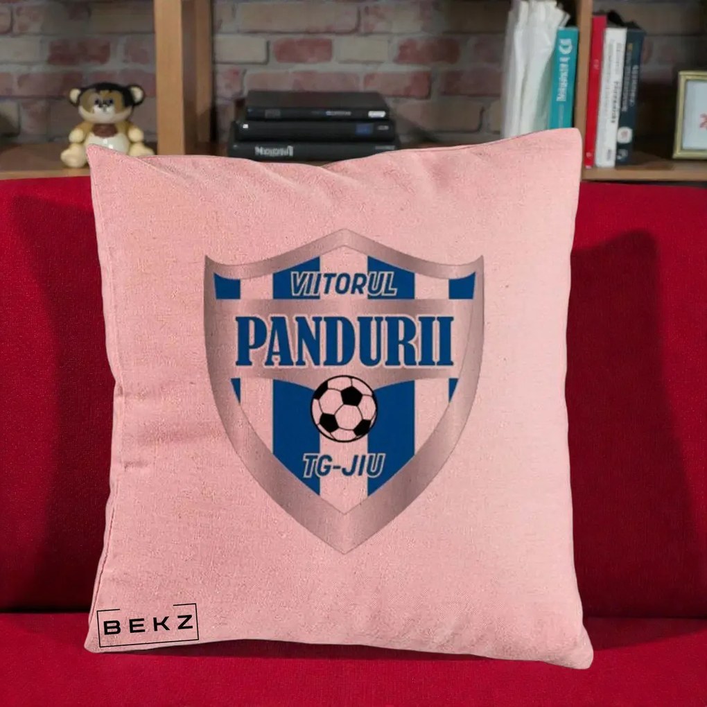 Perna Personalizata Pandurii Targu Jiu Fotbal, 40x40 cm, Roz, Husa Detasabila, Perna Inclusa, BEKZ®