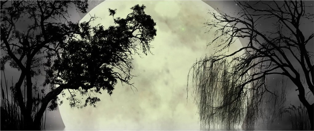 Tablou - Lună plină deasupra apei (120x50 cm)