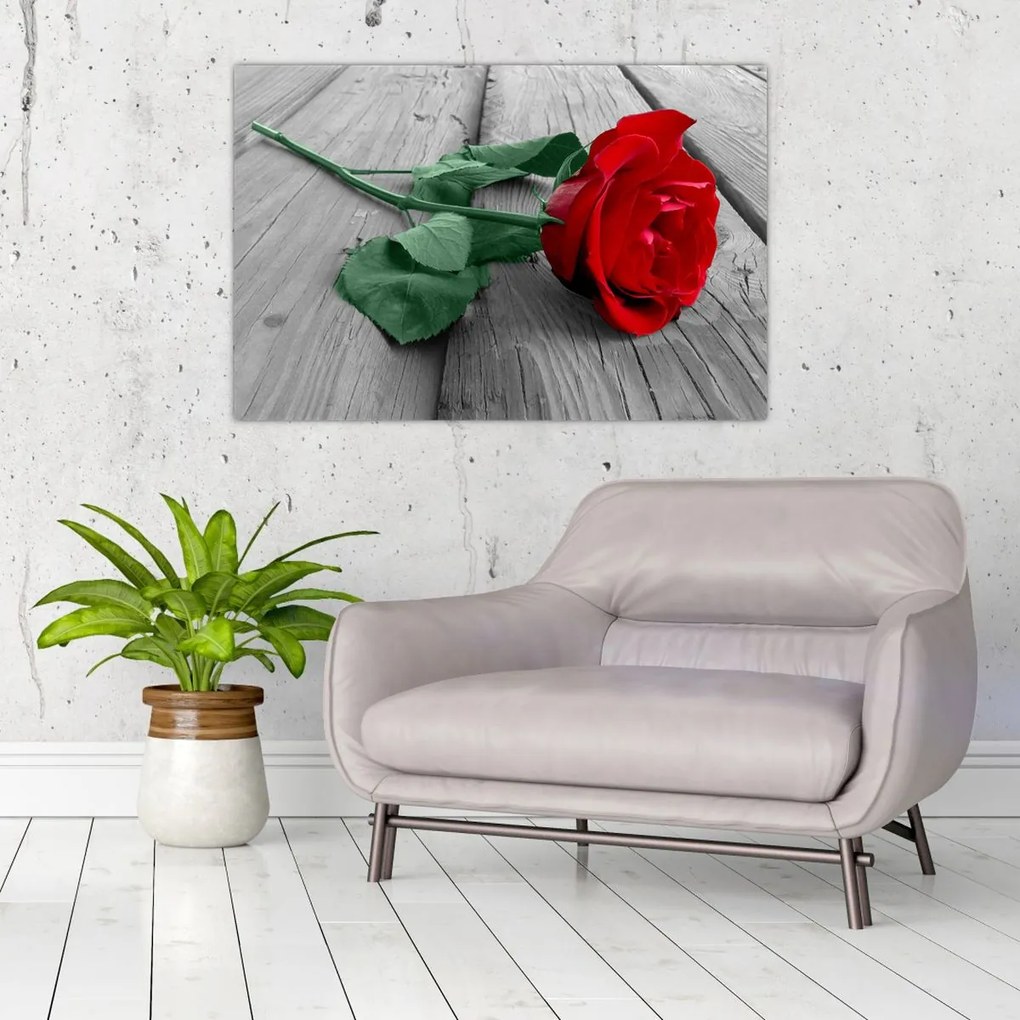 Tablou - Trandafir roșu cu tulpină verde (90x60 cm)