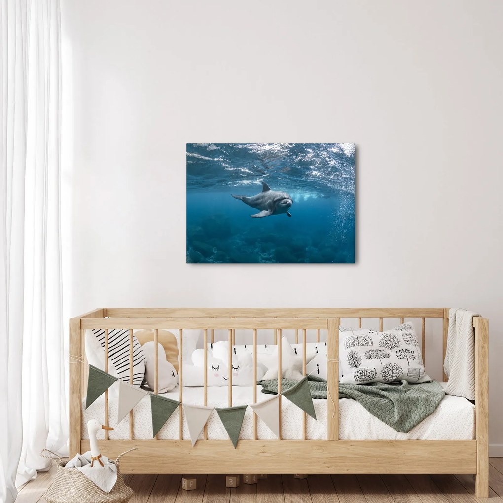 Tablou - Delfin sub apă (70x50 cm)