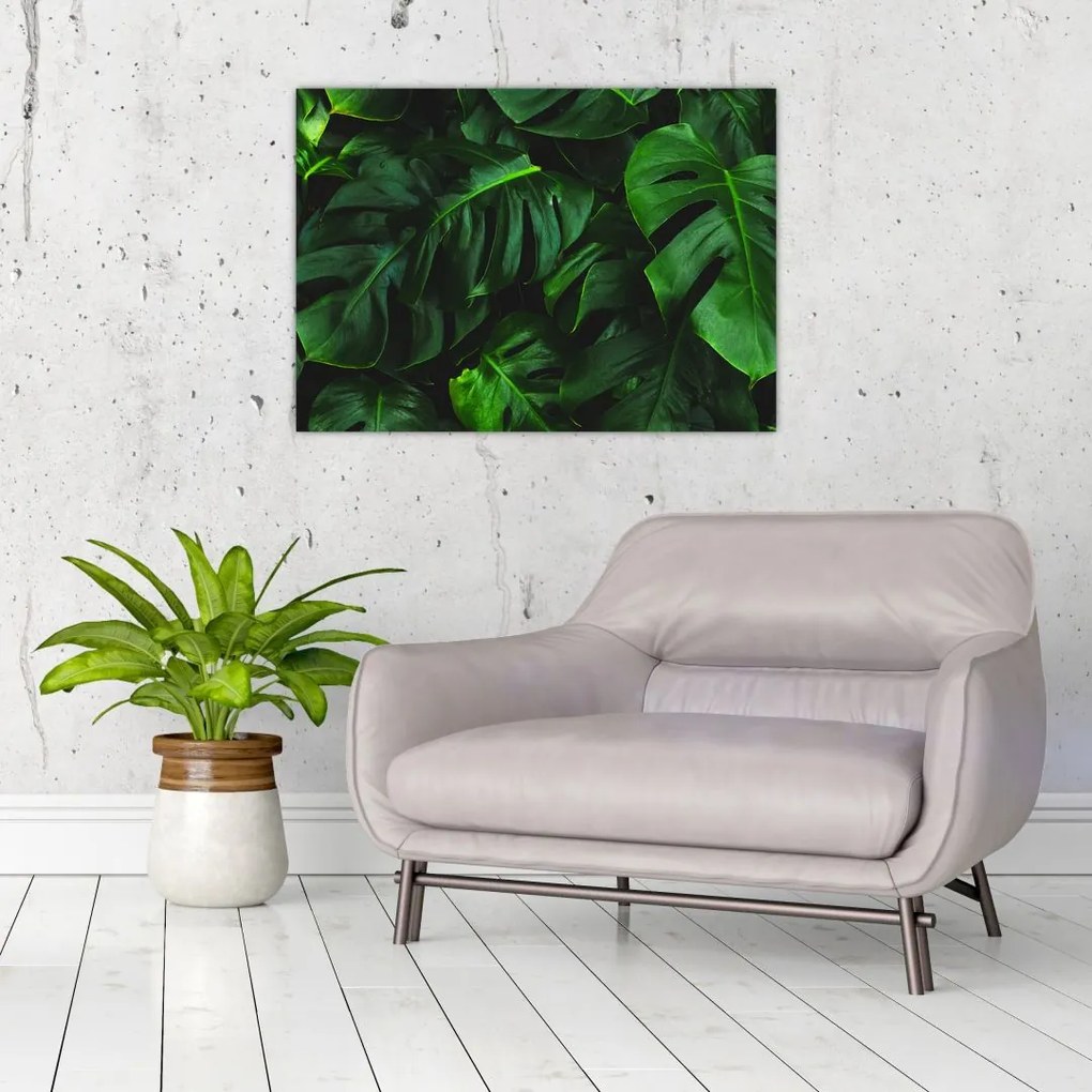 Tablou cu frunze Monstery (70x50 cm)
