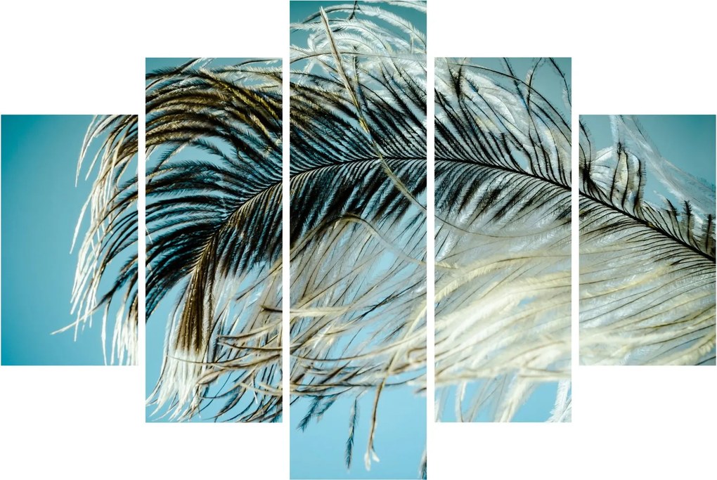 Tablou cu pană (150x105 cm)