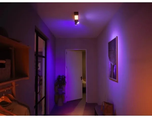 Philips LED RGBW Hue CENTRIS spot reglabil 2xGU10/4,2W + LED/11W