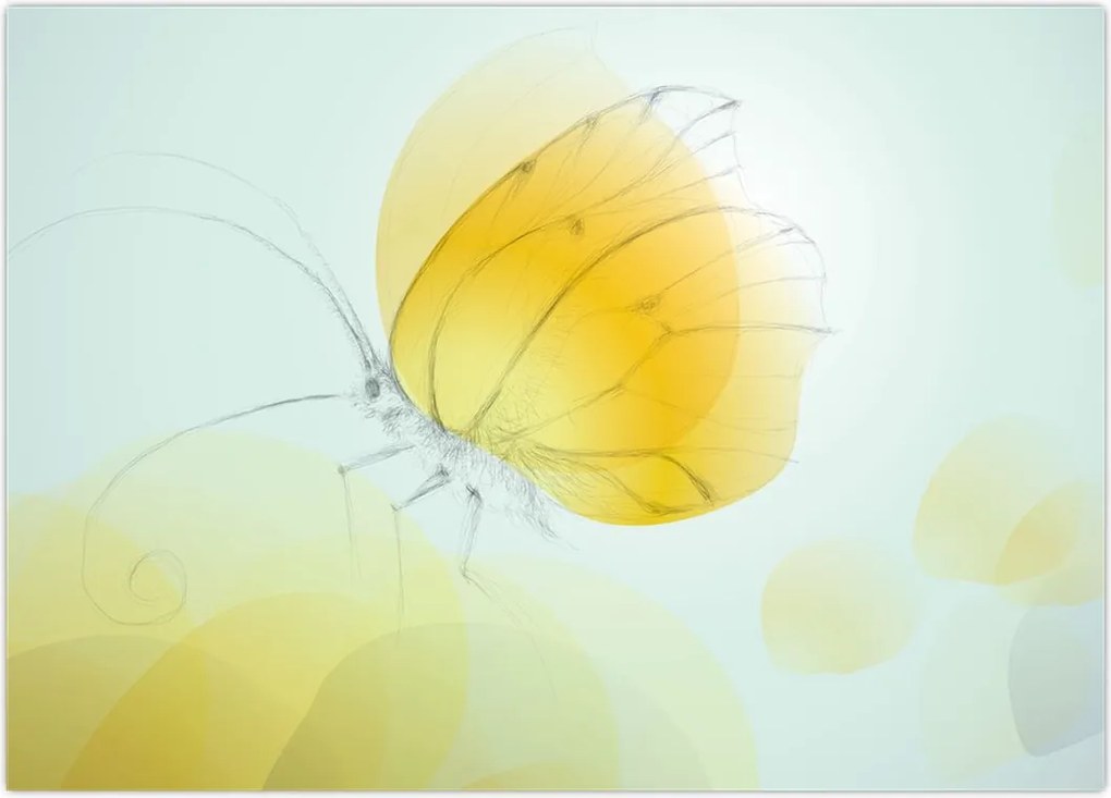 Tablou - Fluturele galben (70x50 cm)