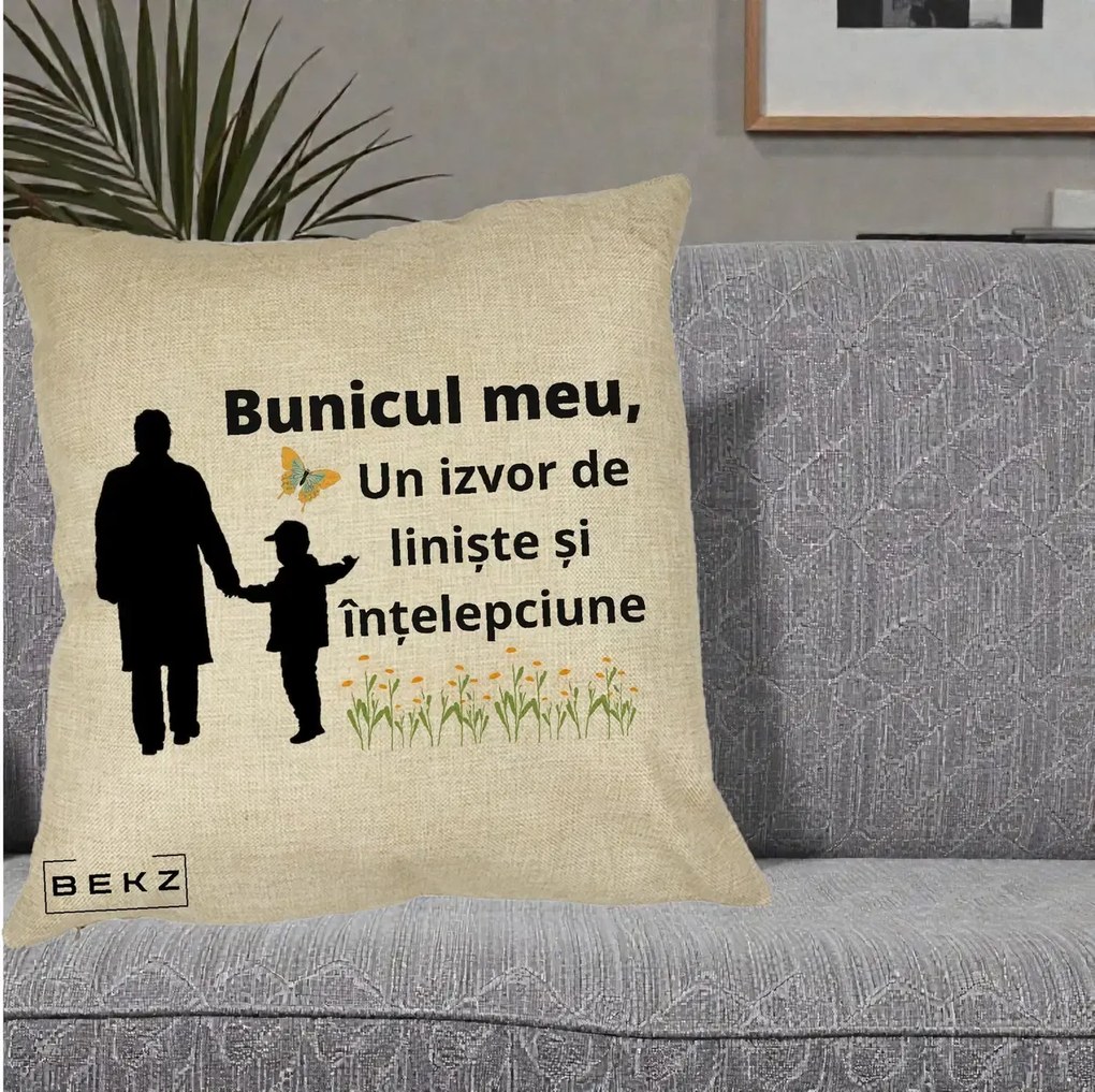 Cadou pentru Bunic - Perna Personalizata Bunicul Meu Izvor de Liniste cu Fluture si Baietel, 40x40 cm, Crem, Husa Detasabila, Perna Inclusa, BEKZ®