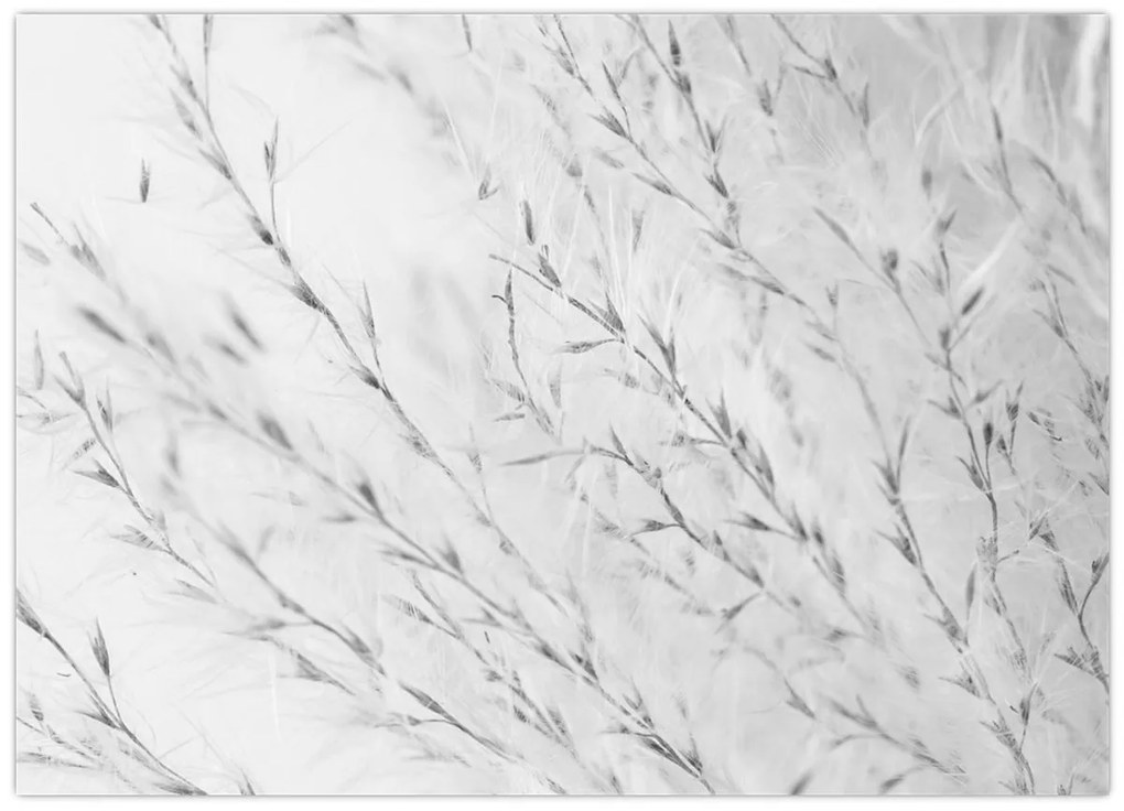 Tablou - Iarbă de pampas N⁰2 (70x50 cm)