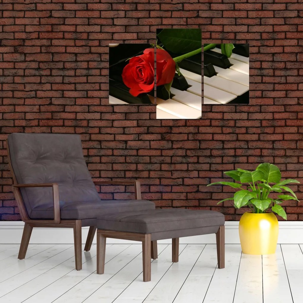 Tablou - Pian și trandafiri (90x60 cm)