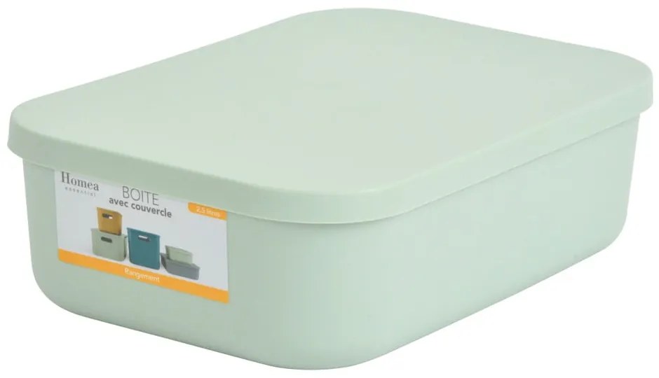 Cutie de depozitare verde-deschis din plastic cu capac 24x18x8 cm – Homéa