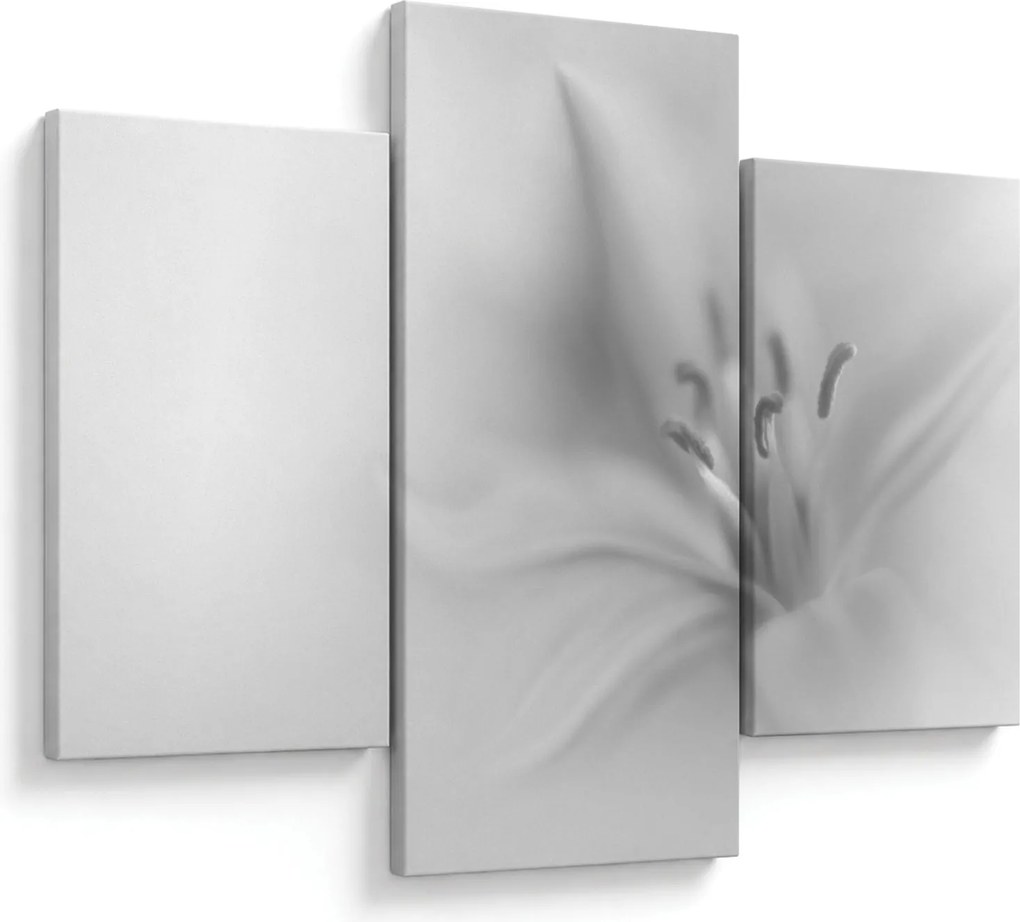 Tablou - Crin delicat (90x60 cm)