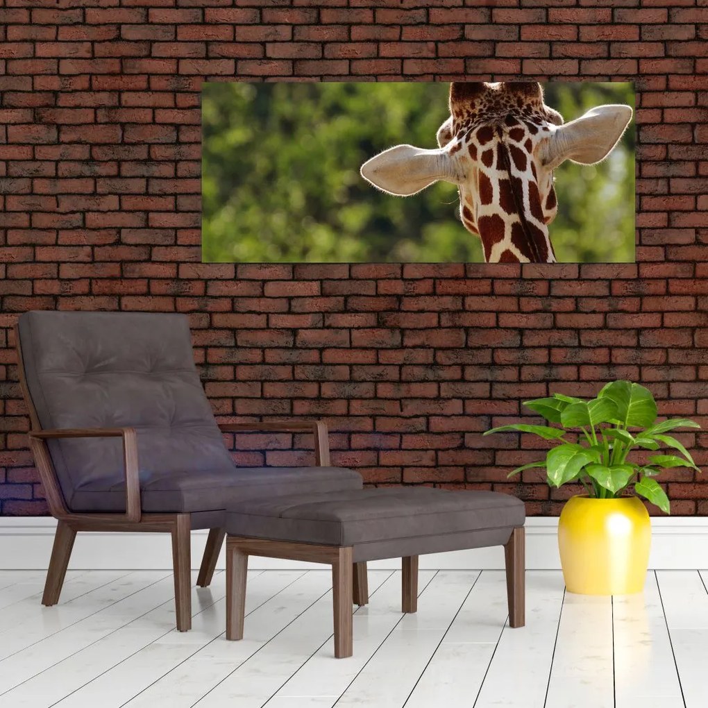 Tablou cu girafă din spate (120x50 cm)