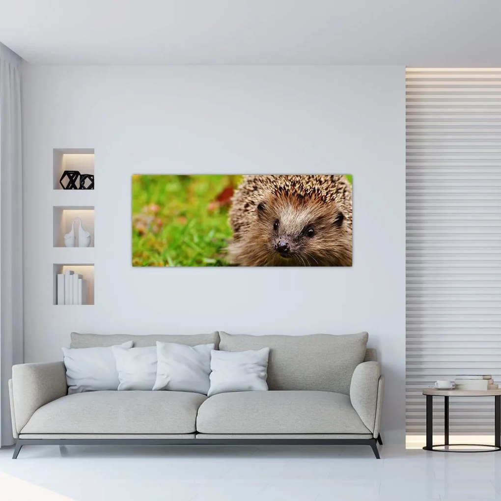 Tablou cu arici (120x50 cm)