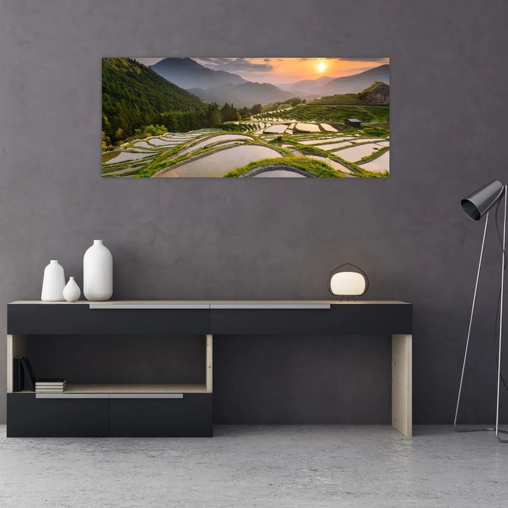 Tablou - Terase de orez (120x50 cm)