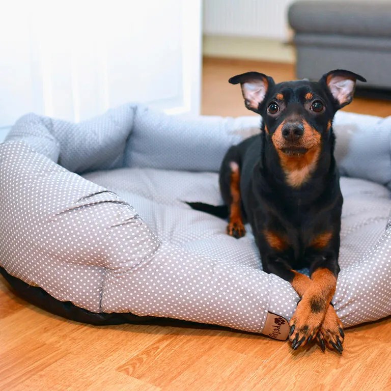 Culcuş pentru câine PUNCTE mărime S - 50 x 40 cm