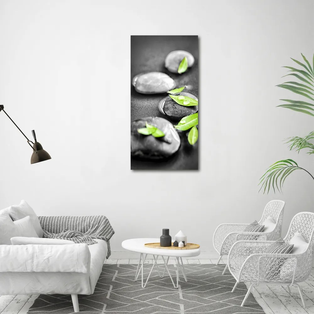 Tablou canvas Frunze zen pietre