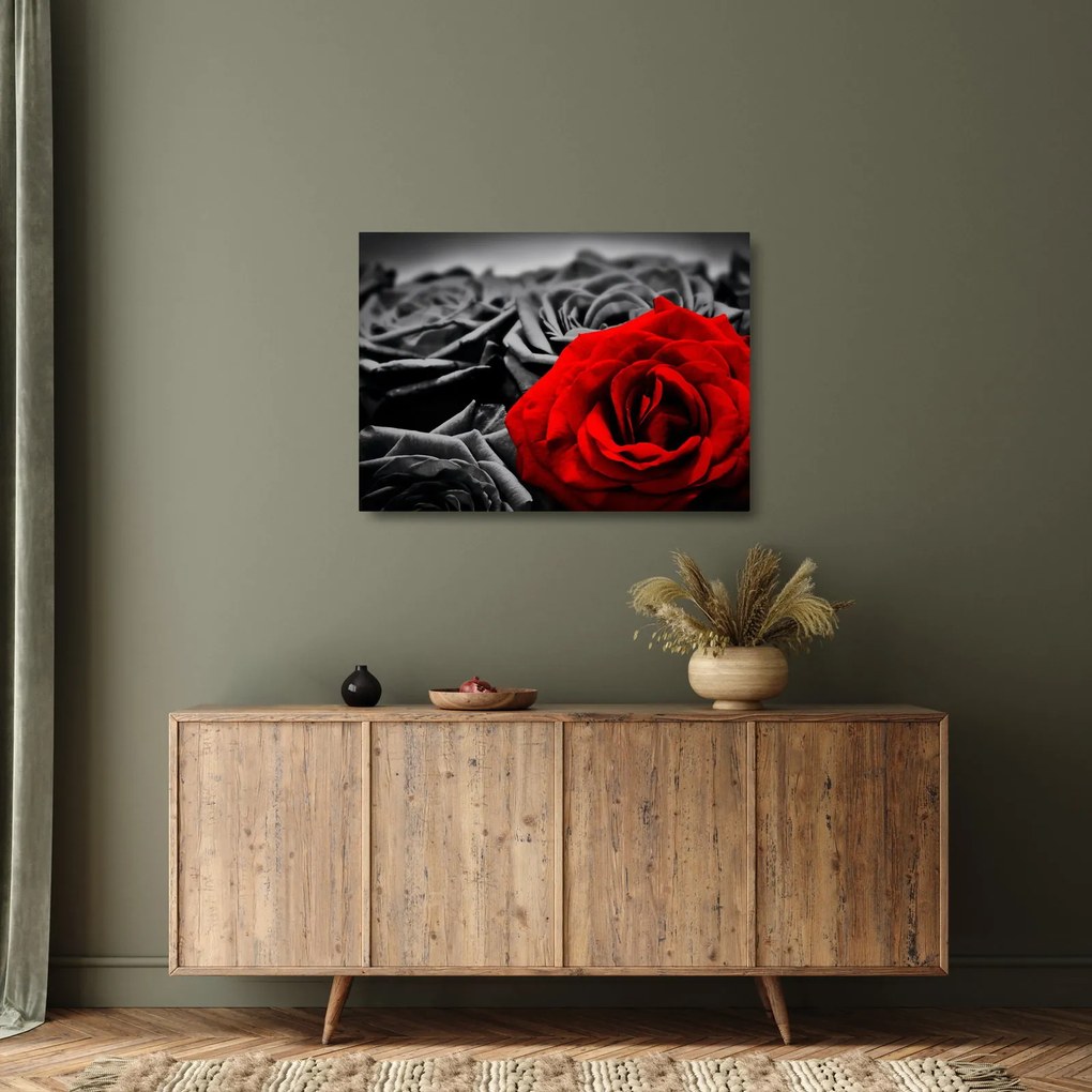 Tablou pe sticlă - Flori de trandafir (70x50 cm)