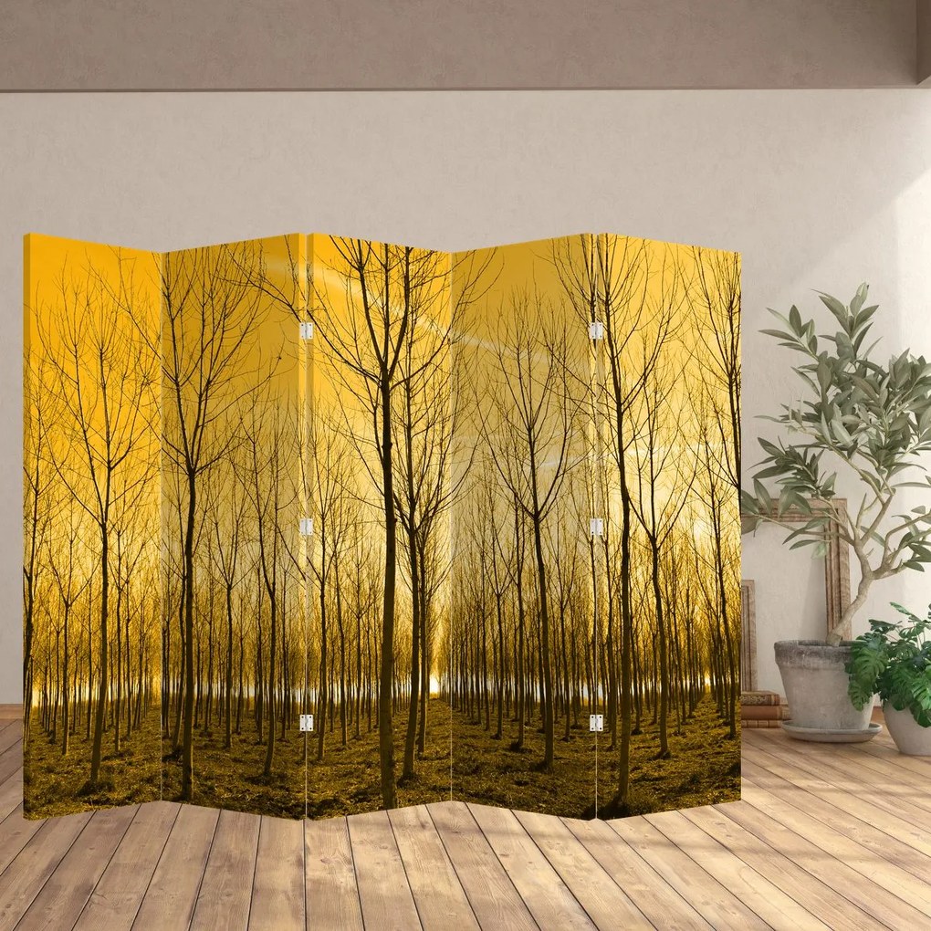 Paravan - Pădure în apus de soare (210x170 cm)