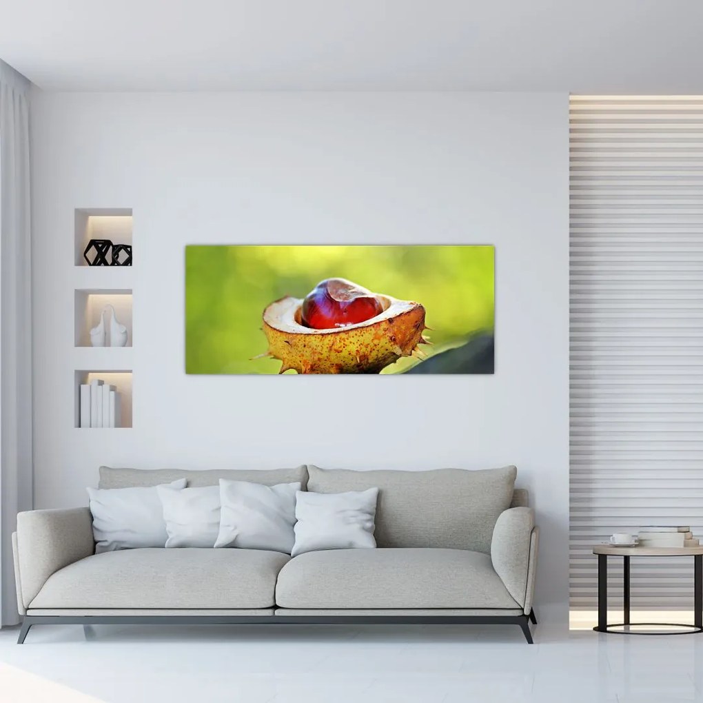 Tablou cu castani (120x50 cm)