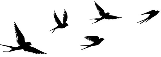 SET 5x decorațiune de perete metal păsări