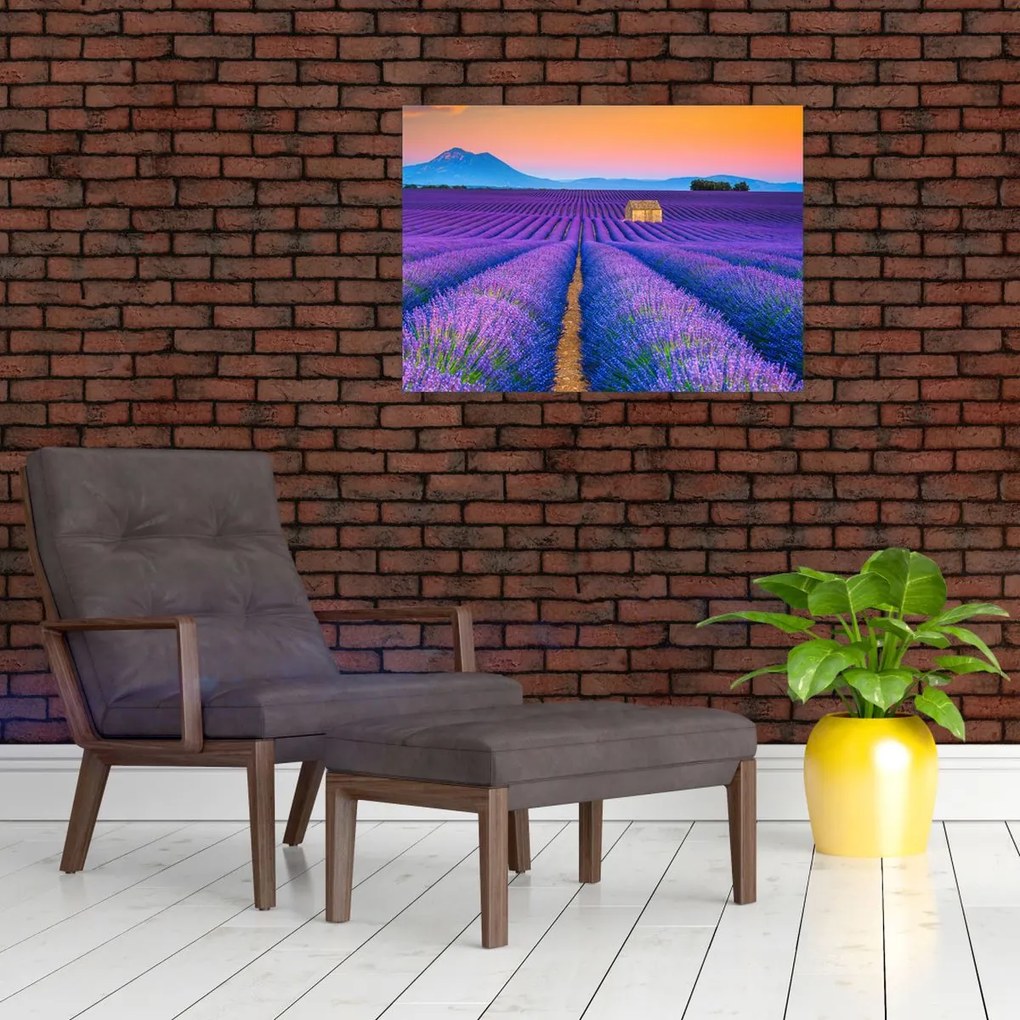 Tablou - Câmp de levănțica (70x50 cm)