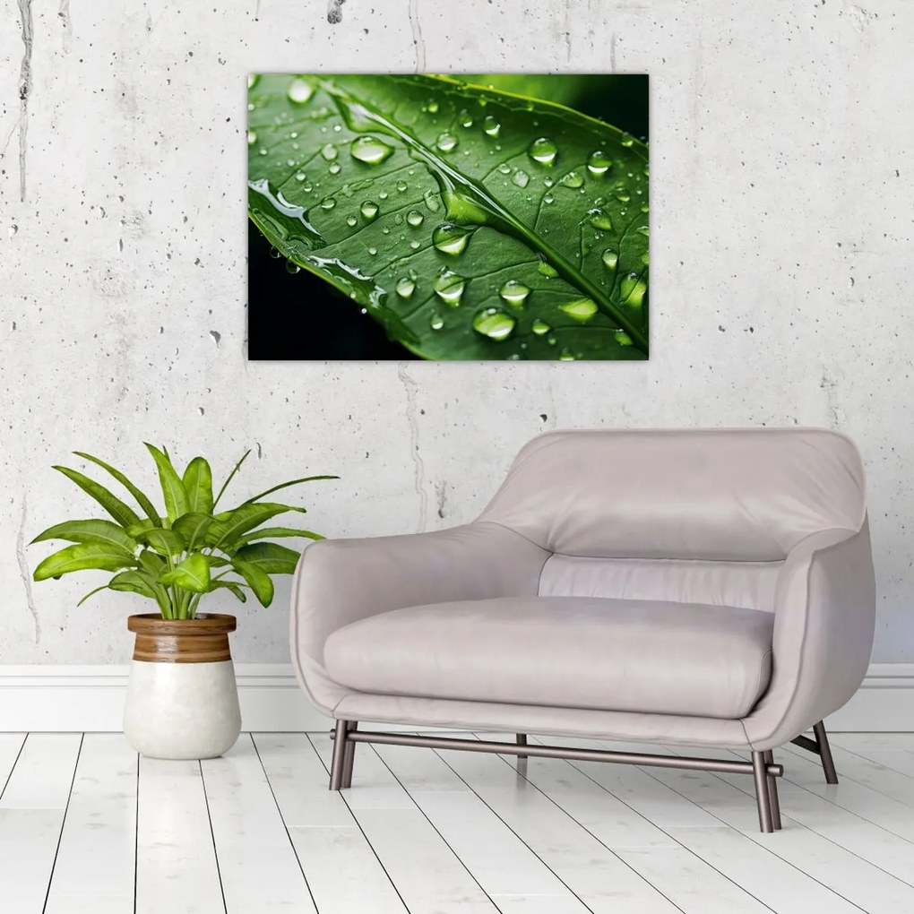 Tablou - Frunză după ploaie (70x50 cm)