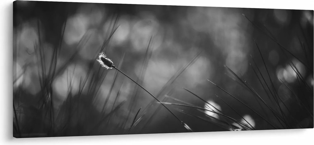 Tablou - Iarbă de pajiște (120x50 cm)