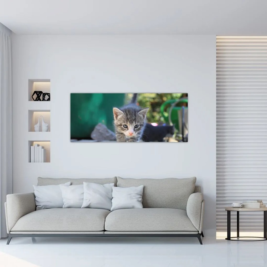 Tablou cu pisicuțe (120x50 cm)