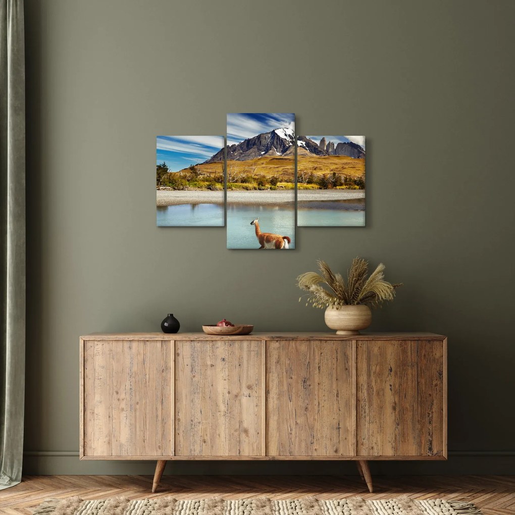 Tablou - Parcul Național Torres del Paine (90x60 cm)