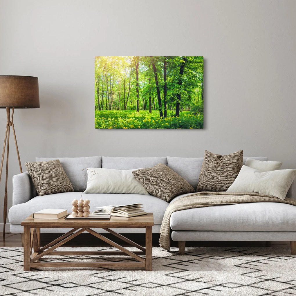 Tablou - Pădurea cu frunze de primăvară (90x60 cm)