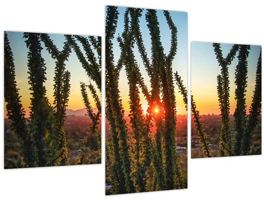 Tablou - Plante (90x60 cm)