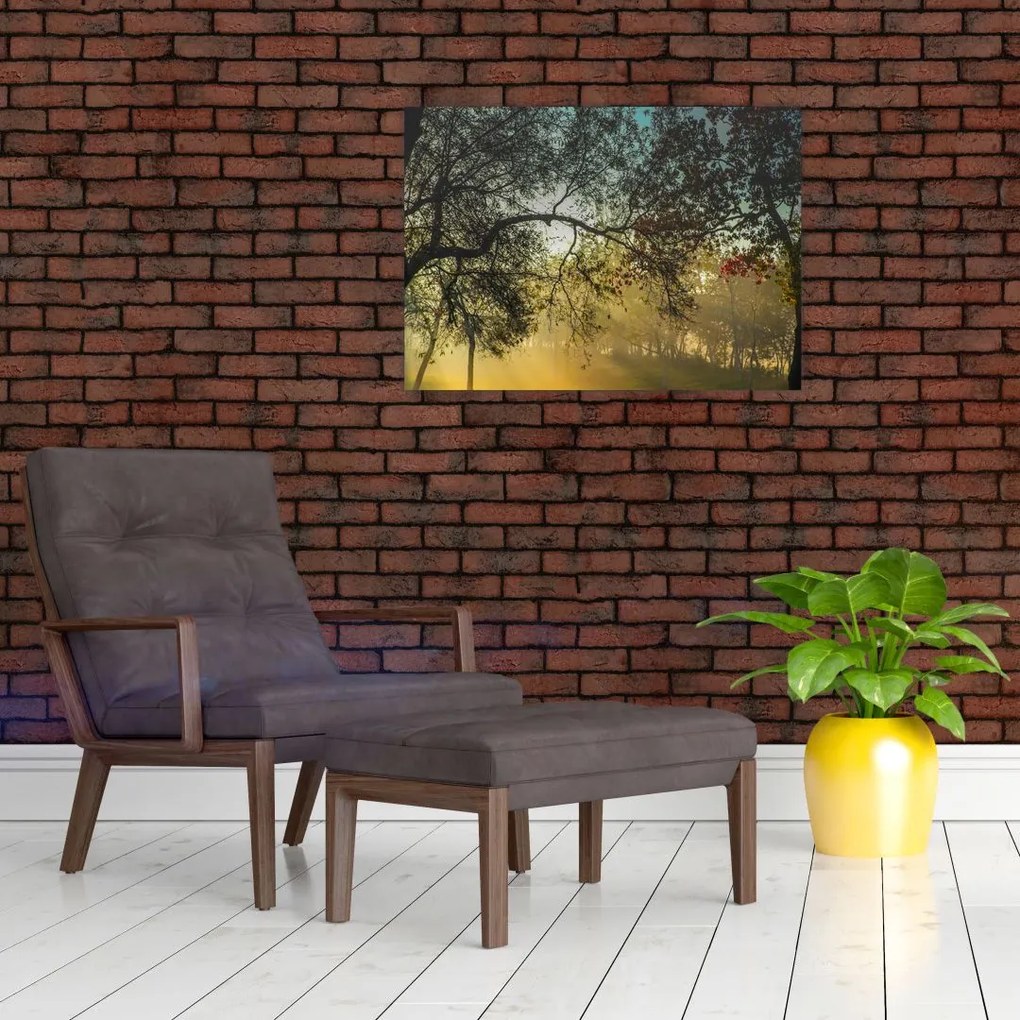 Tablou pe sticlă cu răsărit de soare (70x50 cm)