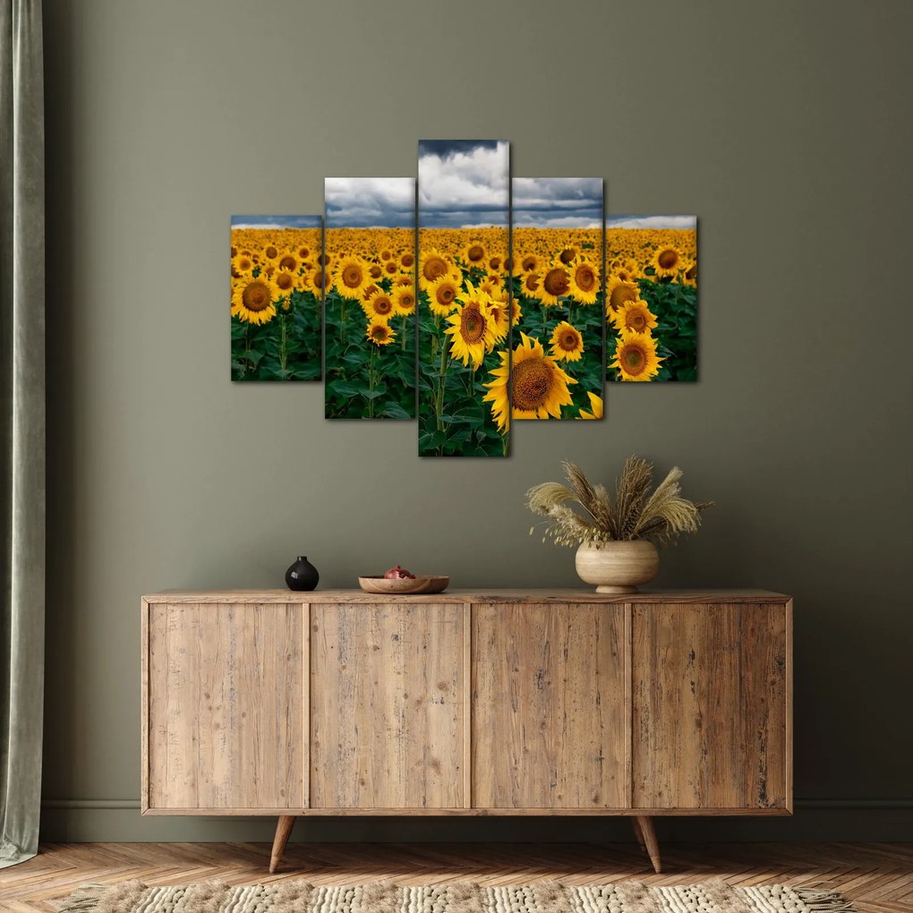 Tablou câmpului de floarea soarelui (150x105 cm)