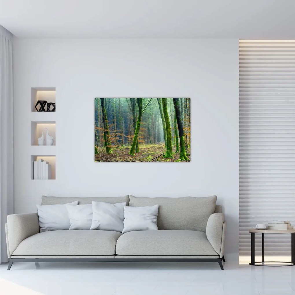 Tablou cu pădure (90x60 cm)