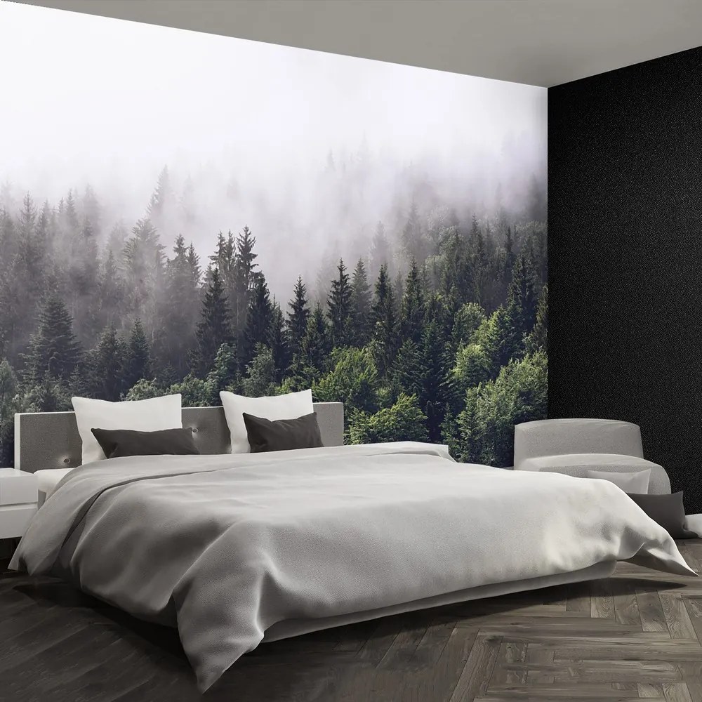 Fototapet Mountain Forest