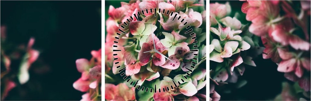 Tablou - Hortensie (cu ceas) (90x30 cm)