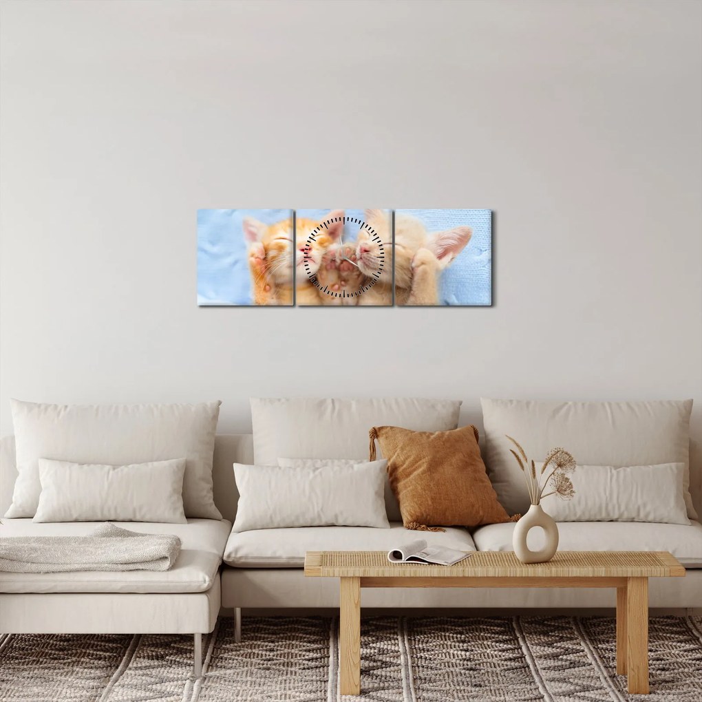 Tablou - Pisicuțe adormite (cu ceas) (90x30 cm)