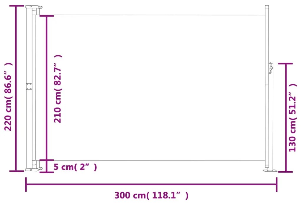 Copertina laterala retractabila de terasa, negru, 220x300 cm Negru, 220 x 300 cm