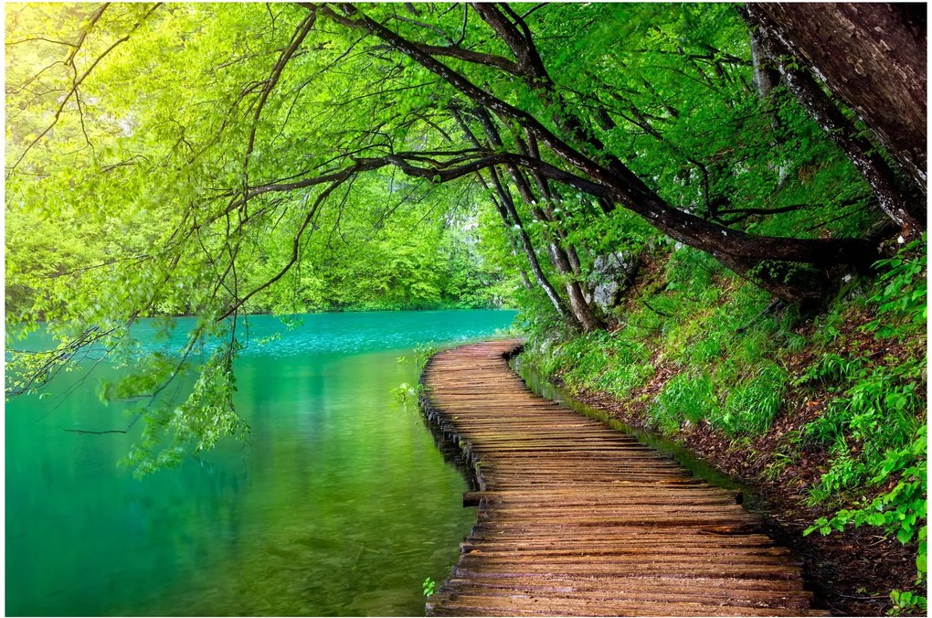 Tablou - Lacurile Plitvice (90x60 cm)