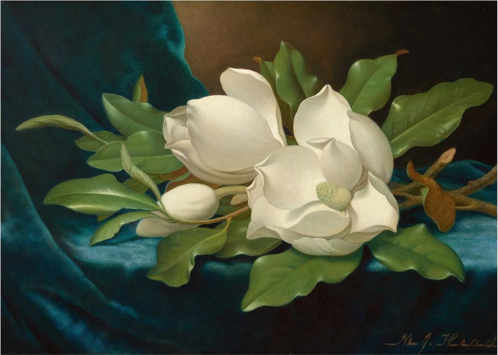 Tablou pe sticlă - Martin Johnson Heade, Giant Magnolias on a Blue Velvet Cloth, reproducere (70x50 cm)